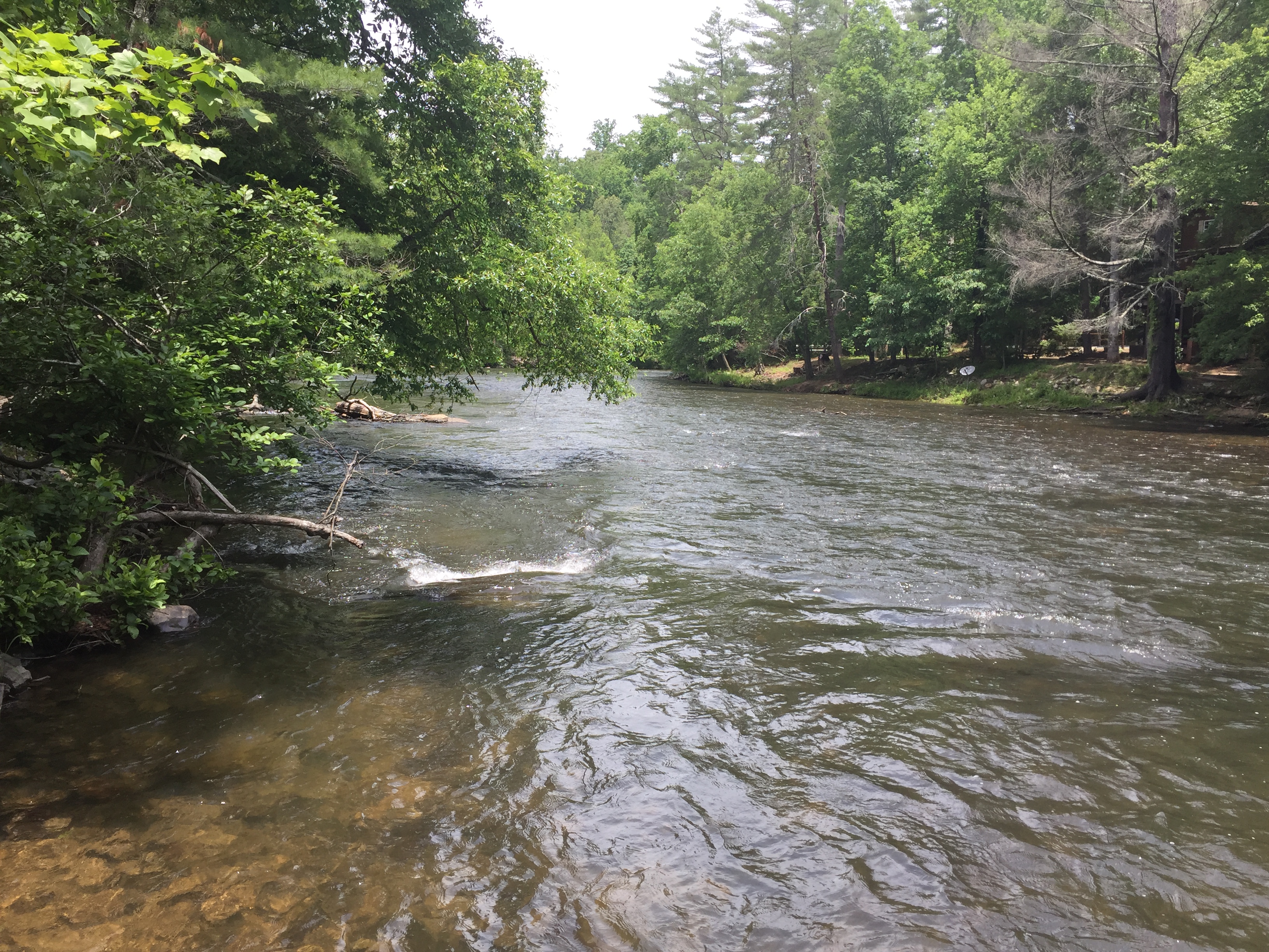 Toccoa River winding through forest in Fannin County near Blue Ridge, Georgia