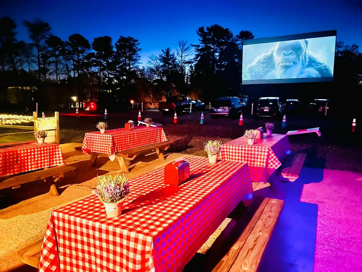 Swan Drive-In Theatre