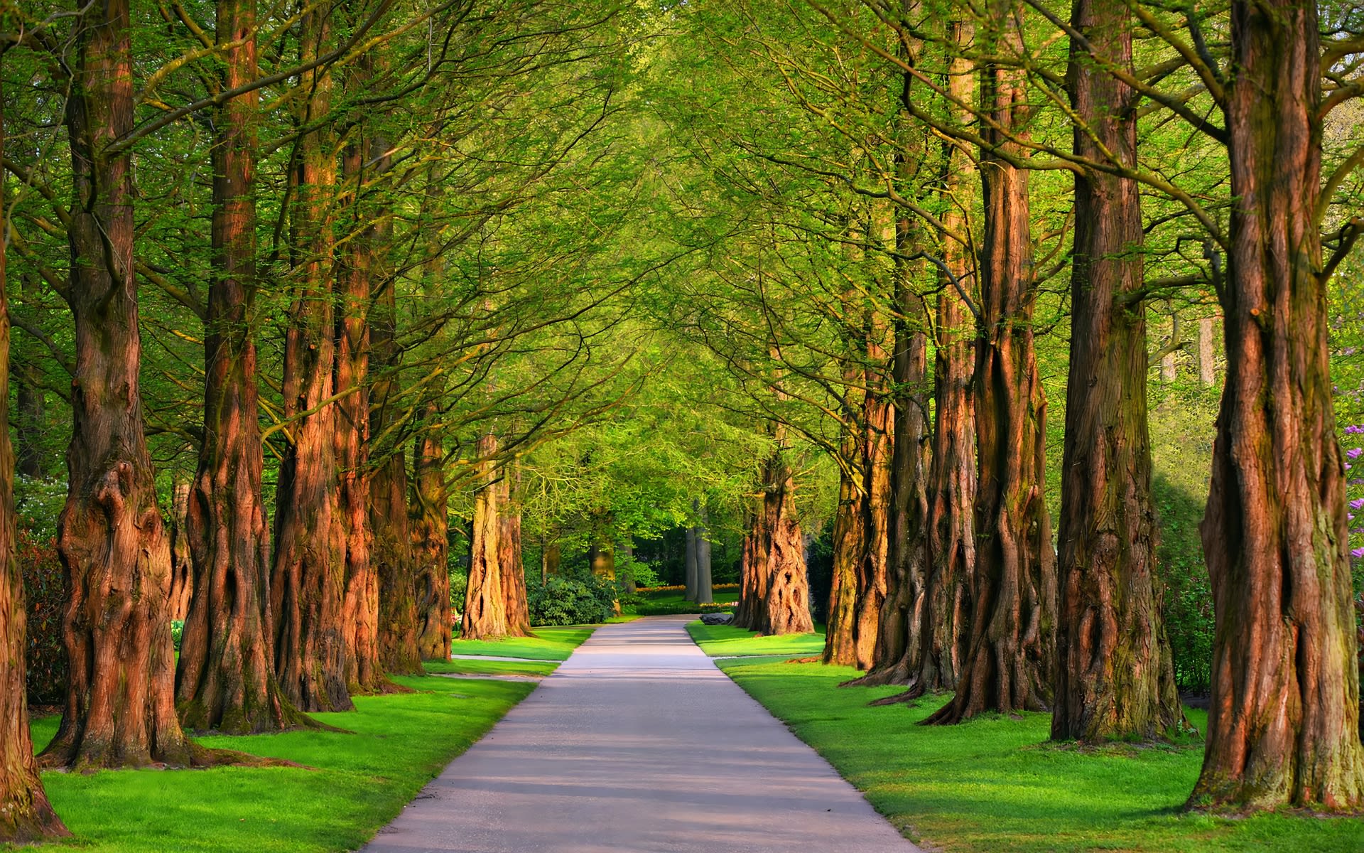 Neighborhood amenities that increase home value — parks, walkable streets, and community spaces