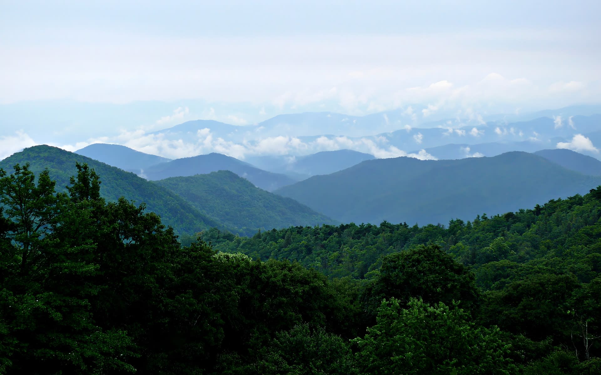 Outdoor activities in Blue Ridge, Georgia — hiking, kayaking, fishing, and scenic mountain drives