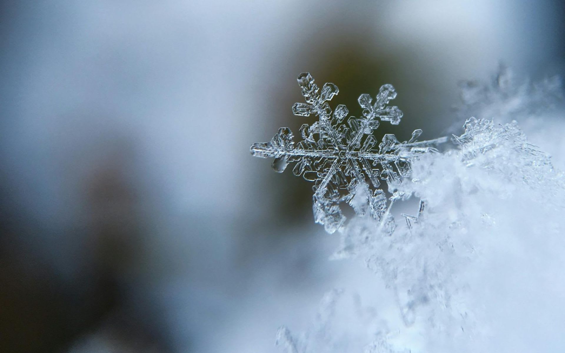 Winter events and holiday activities in Blue Ridge, Georgia