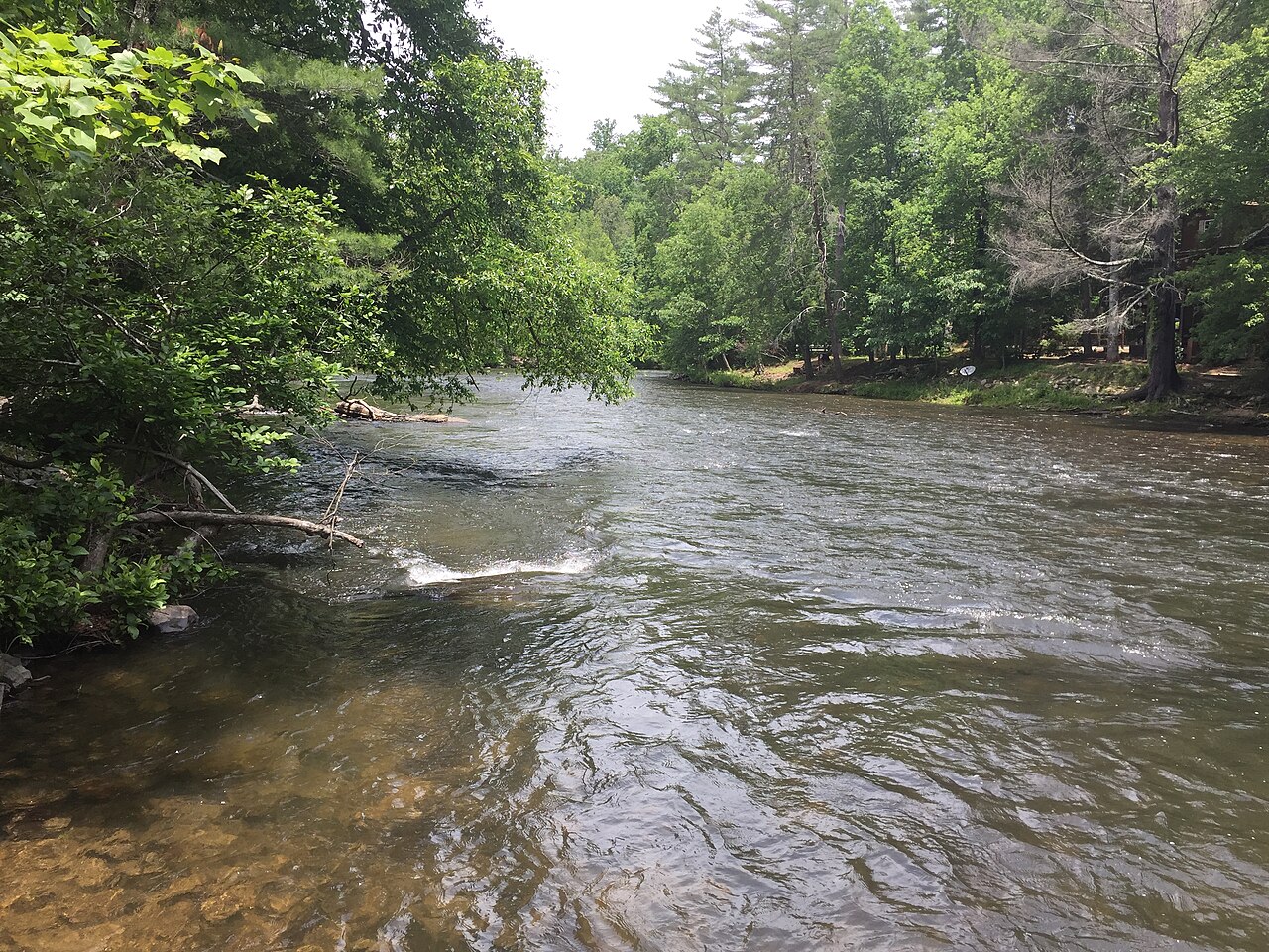 The Toccoa River running over gravel shoals in Fannin County, Georgia