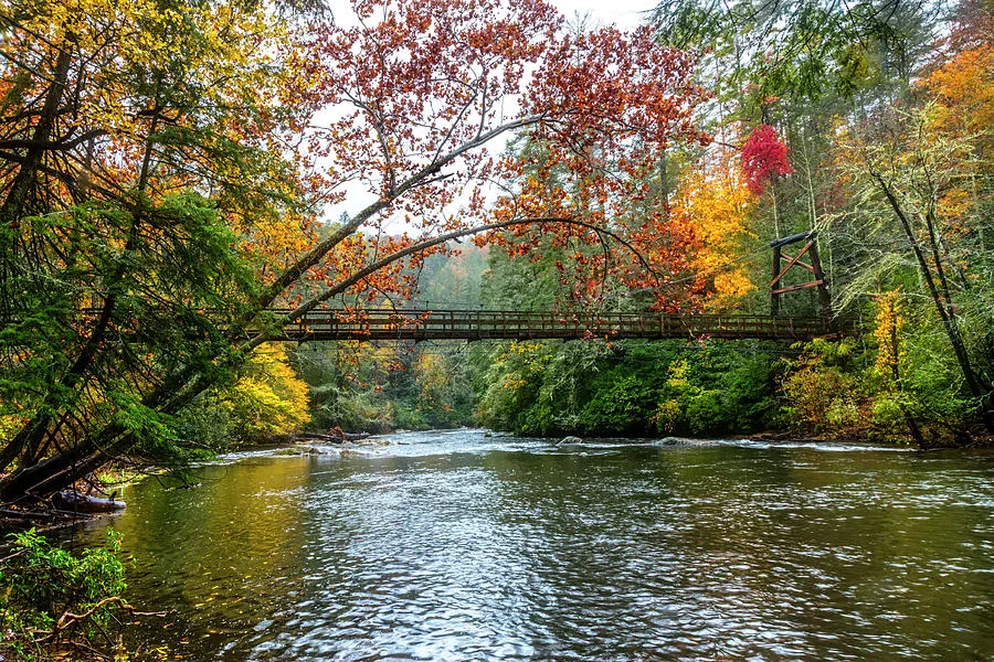 Swinging footbridge over the Toccoa River framed by autumn foliage
