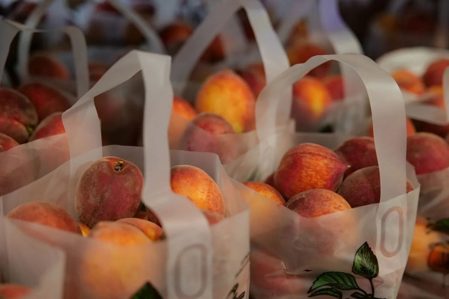Bags of fresh-picked peaches at a North Georgia orchard market