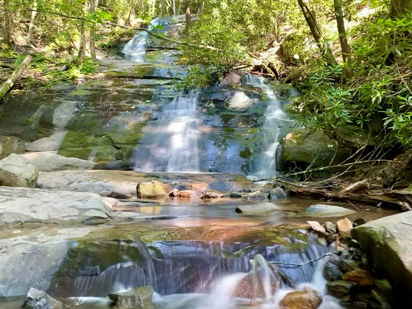 Fall Branch Falls cascading over rock ledges through green forest