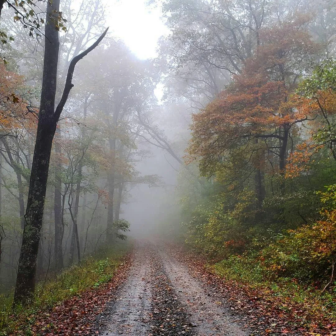 Autumn foliage over the Cohuttas, north Georgia