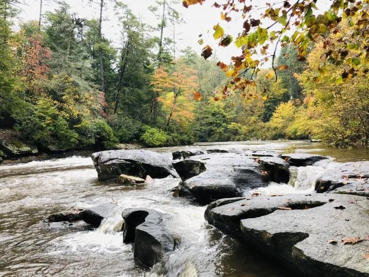 A rocky North Georgia river flowing through fall-colored forest