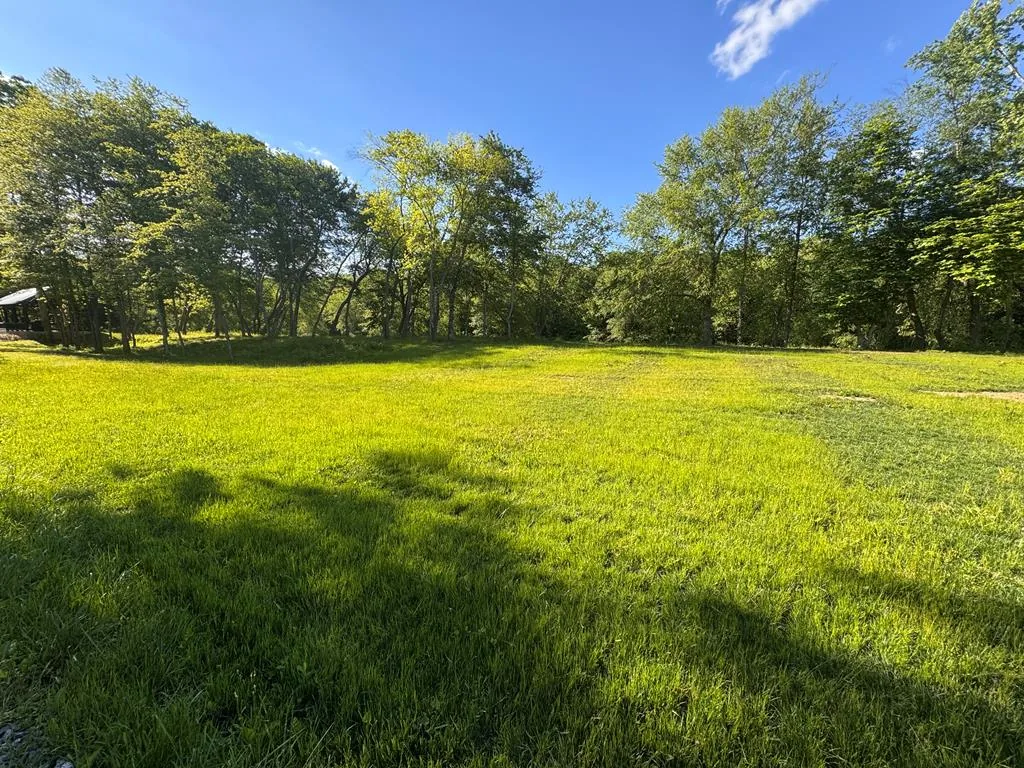 Open grassy meadow bordered by hardwoods on a North Georgia lot