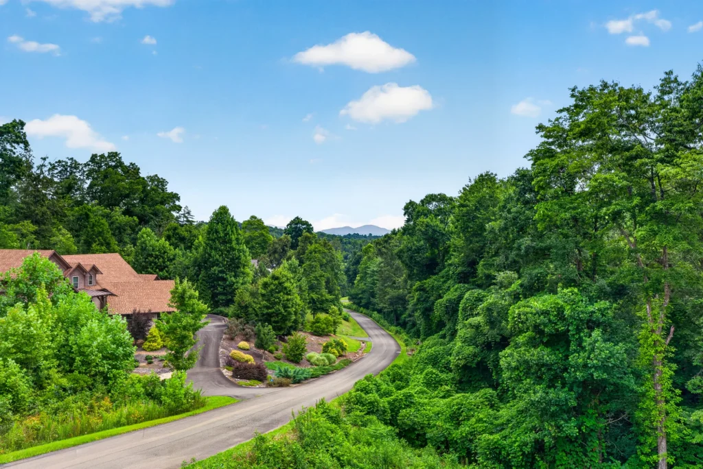 Aerial view of a paved road winding through a wooded mountain neighborhood
