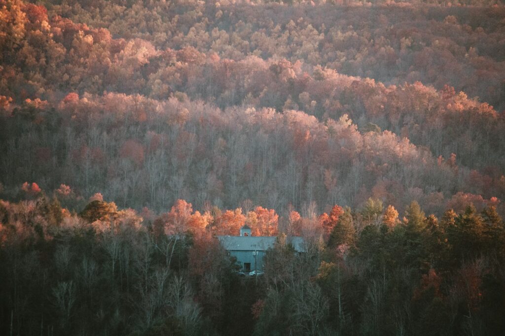Cabin tucked into a forested Appalachian hillside at sunset