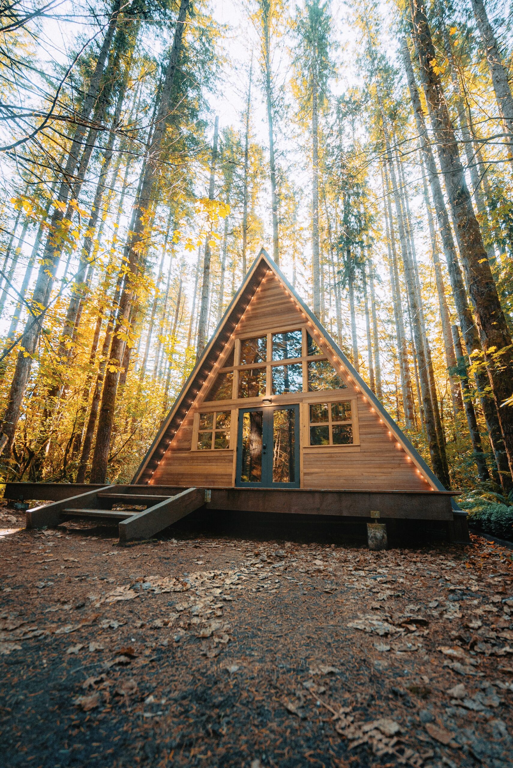 A-frame cabin with glass front nestled among tall forest trees