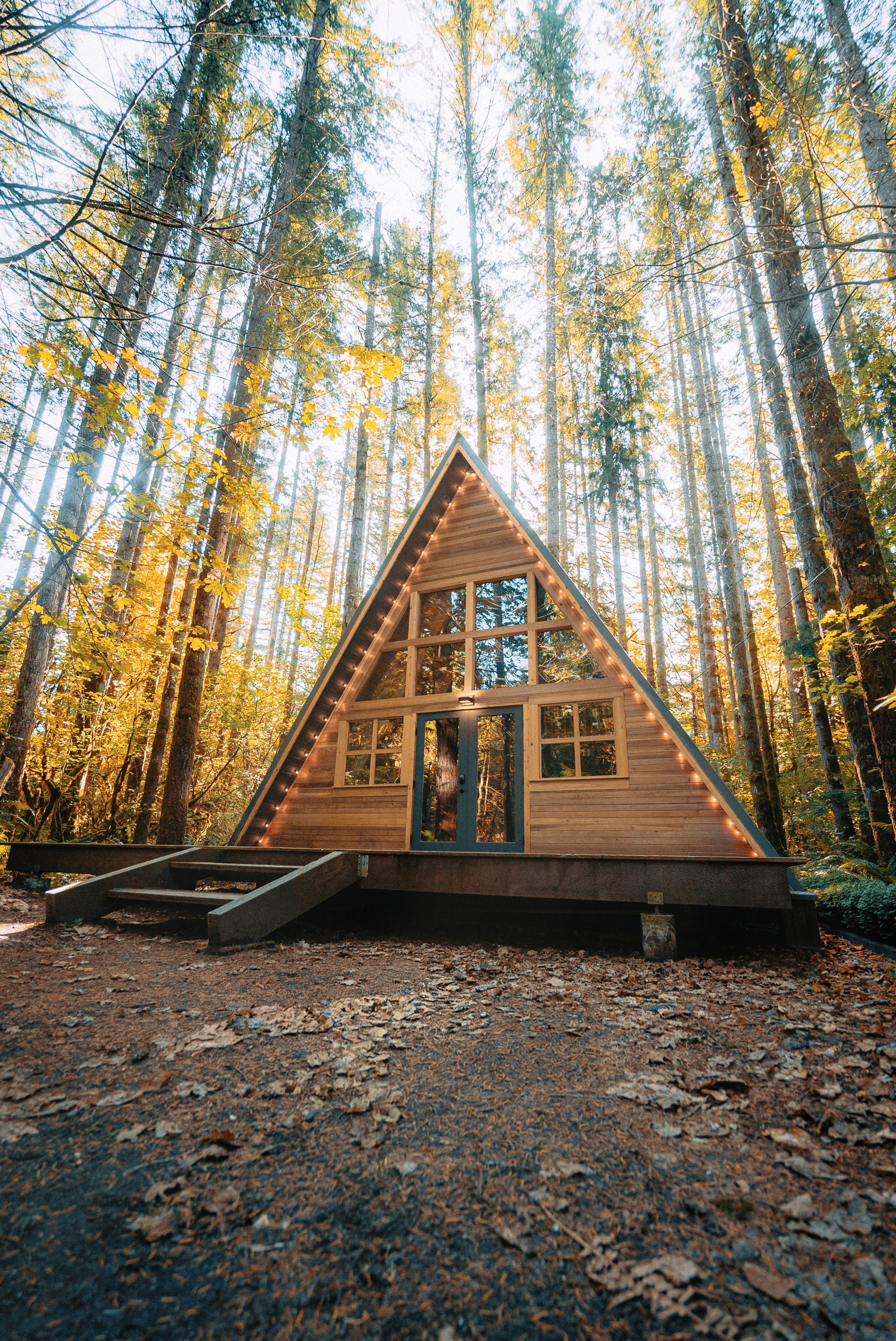 A-frame cabin among trees in the North Georgia mountains