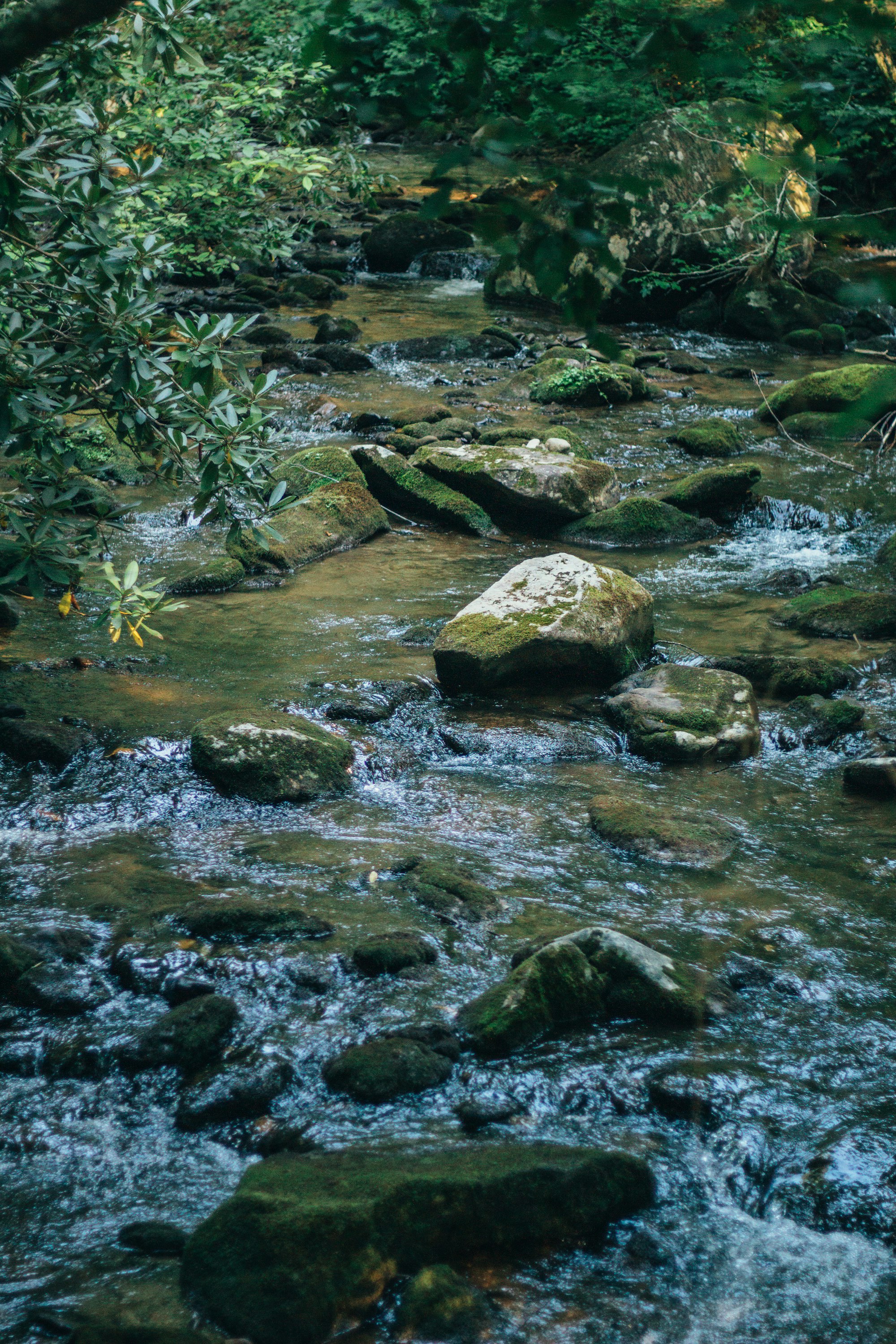 Mountain stream in Blue Ridge, Georgia