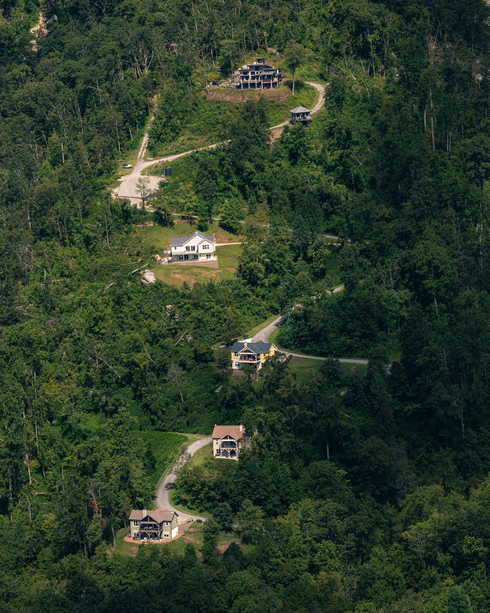 Mountain homes along a winding road through dense green forest