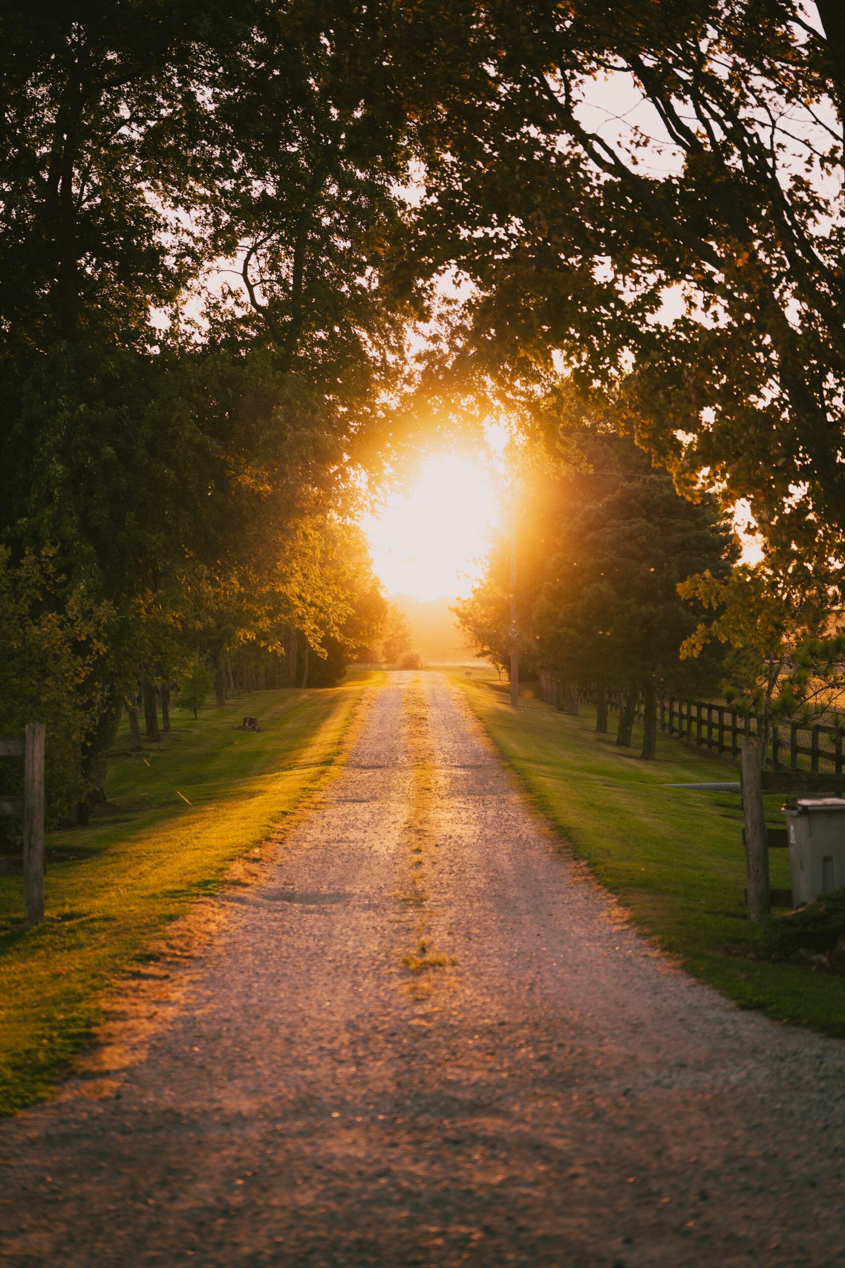 Tree-lined private gravel drive with wooden fencing at golden hour