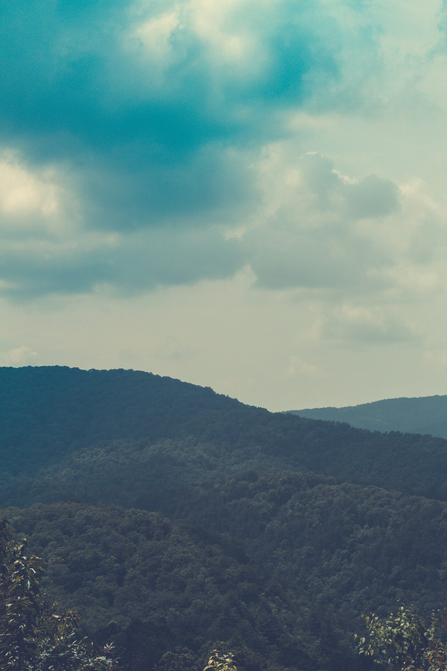 Rolling forested ridgelines around Blue Ridge, Georgia