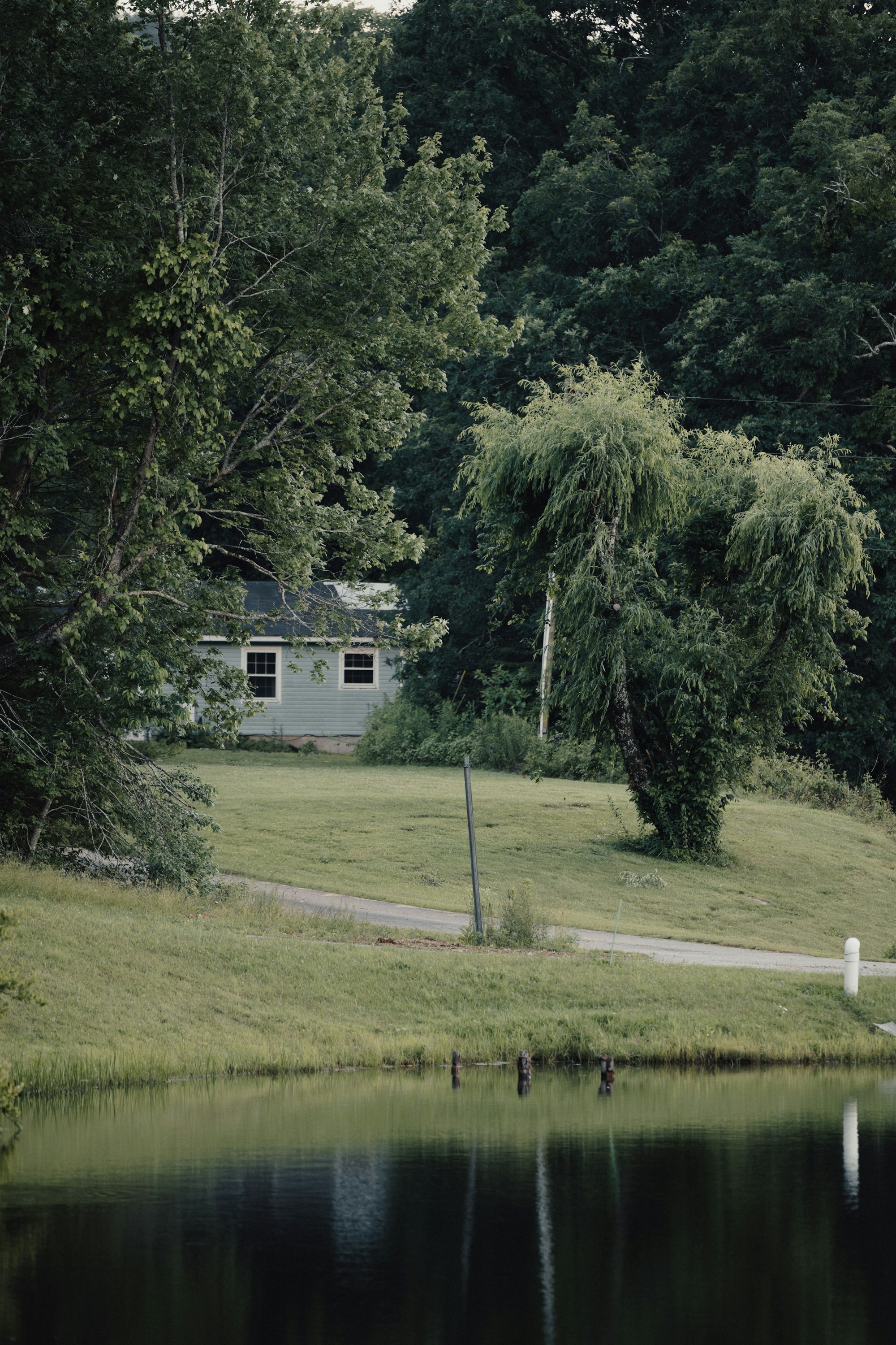 Quiet lake shoreline with a modest home tucked behind willow trees