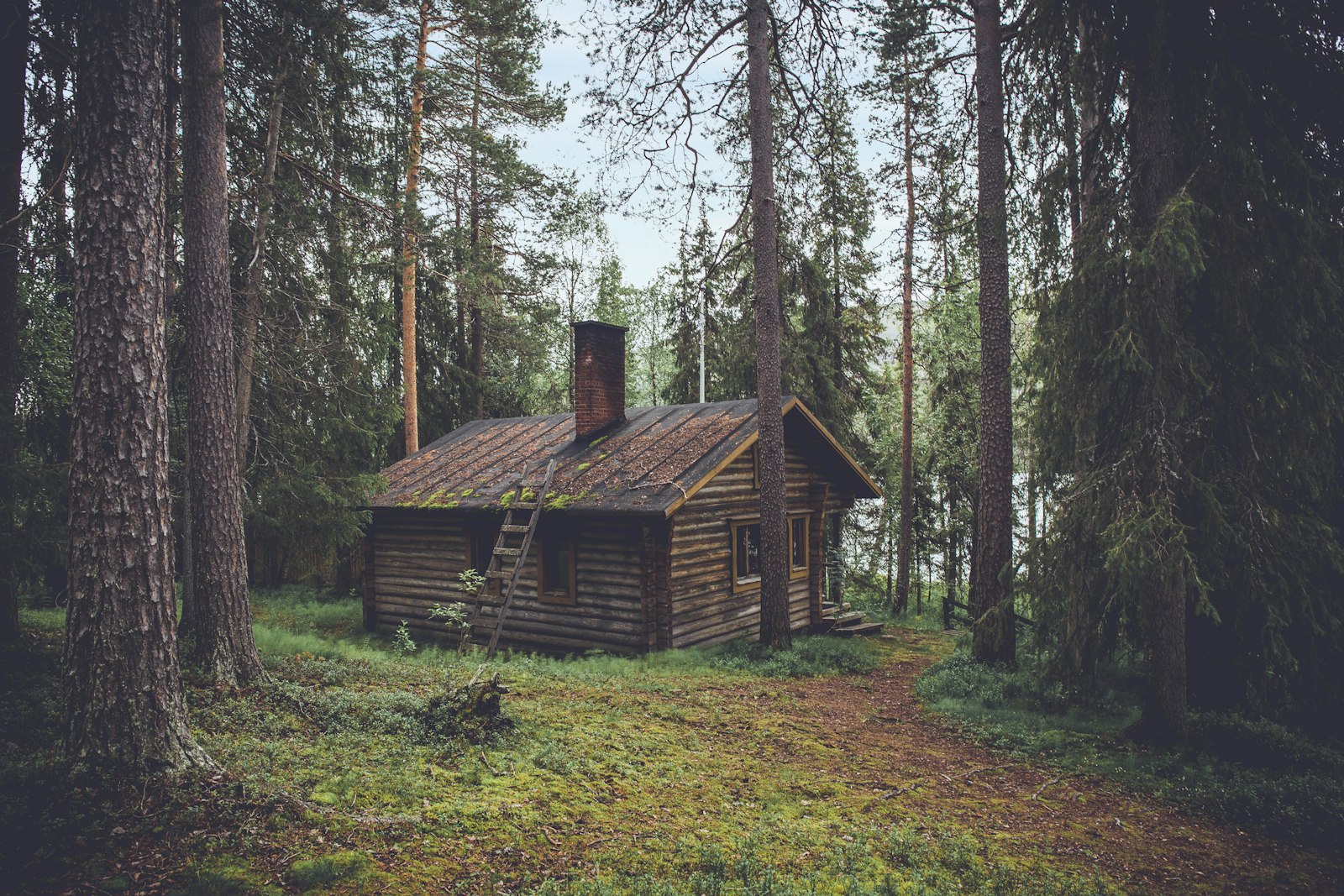 Wood cabin on a wooded mountain slope under an overcast sky