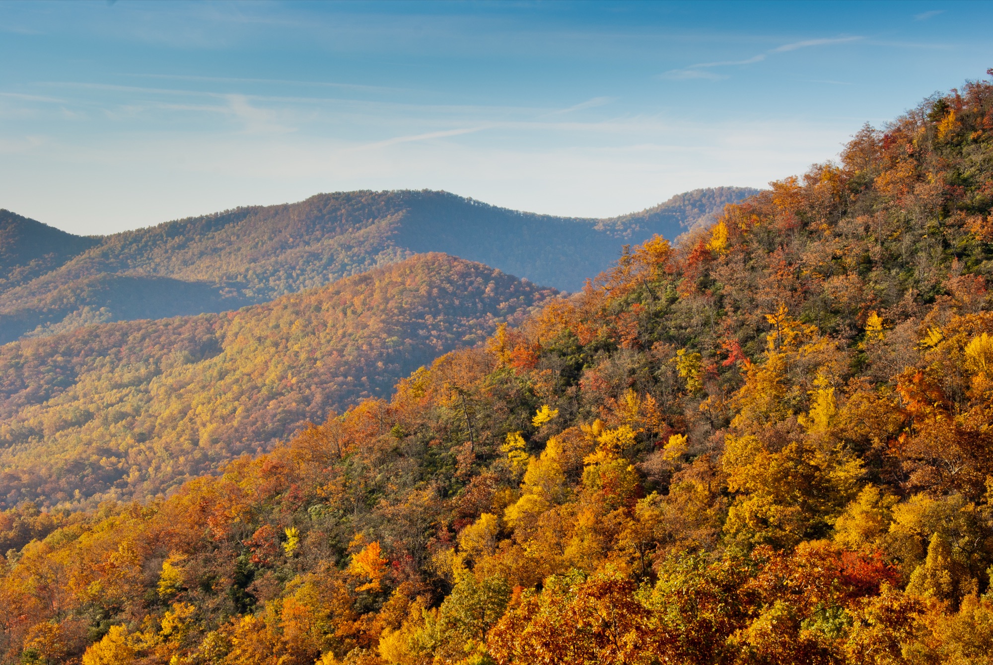 Autumn hardwood ridgelines along the Blue Ridge Parkway south of Asheville, North Carolina