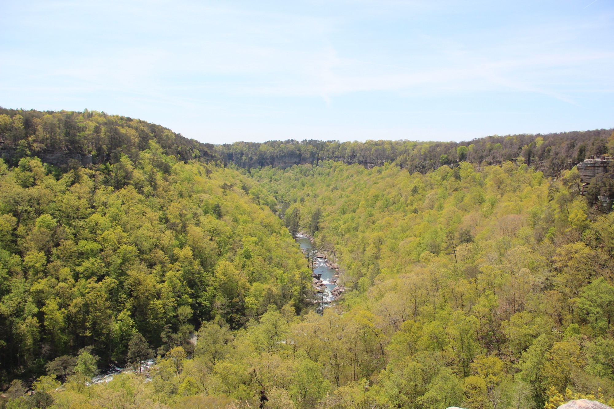 Little River Canyon in northeast Alabama seen from Canyon View Overlook in spring