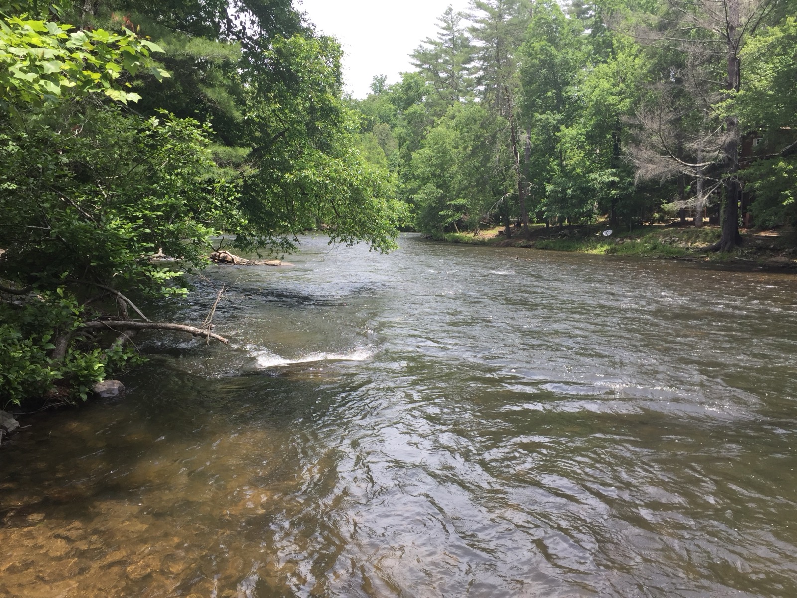 The Toccoa River running between wooded banks in Fannin County, Georgia