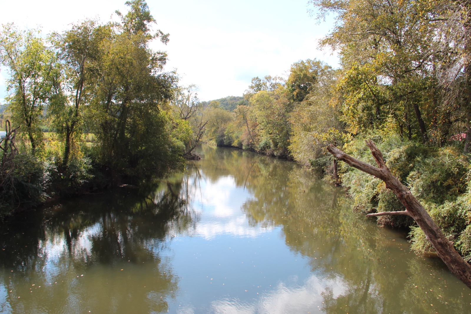 Calm stretch of the Coosawattee River in Ellijay, Georgia, with trees on both banks reflected in the water