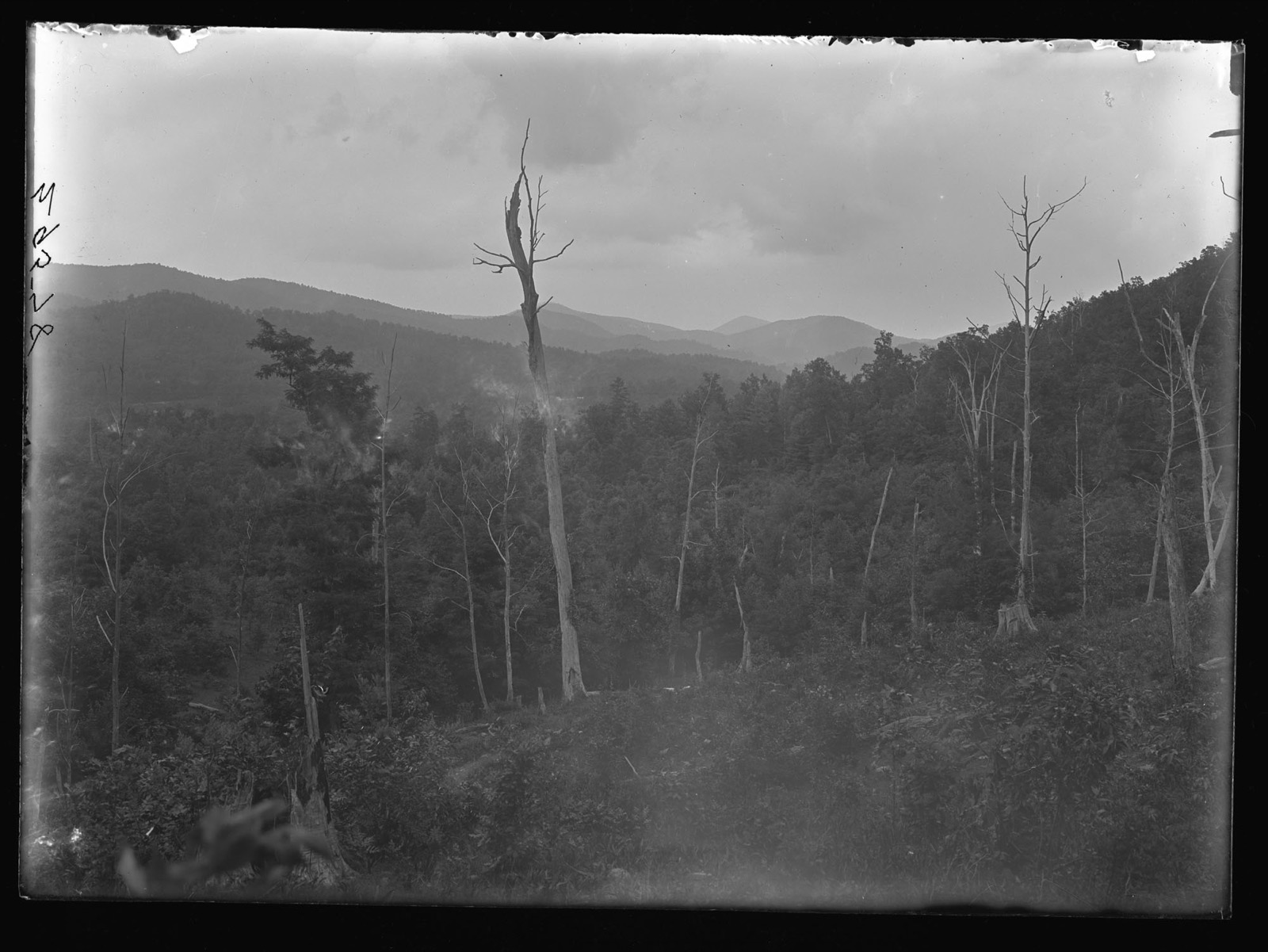 Historic 1908 photograph of forested ridges in the Cooper Creek area of the Blue Ridge Mountains in Georgia
