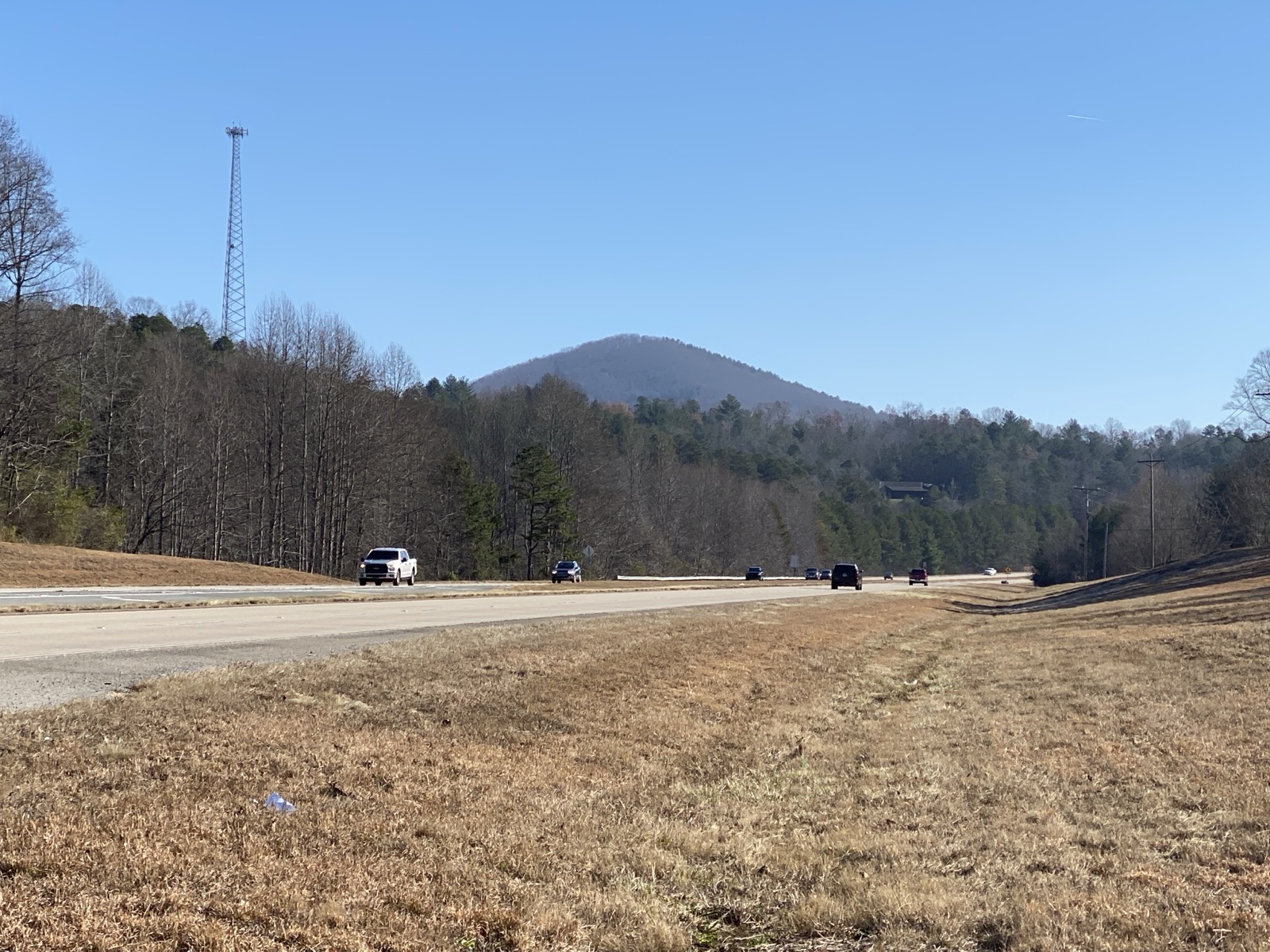 Bare winter hardwoods along a highway with a cell tower and Sharptop Mountain on the horizon in Fannin County, Georgia