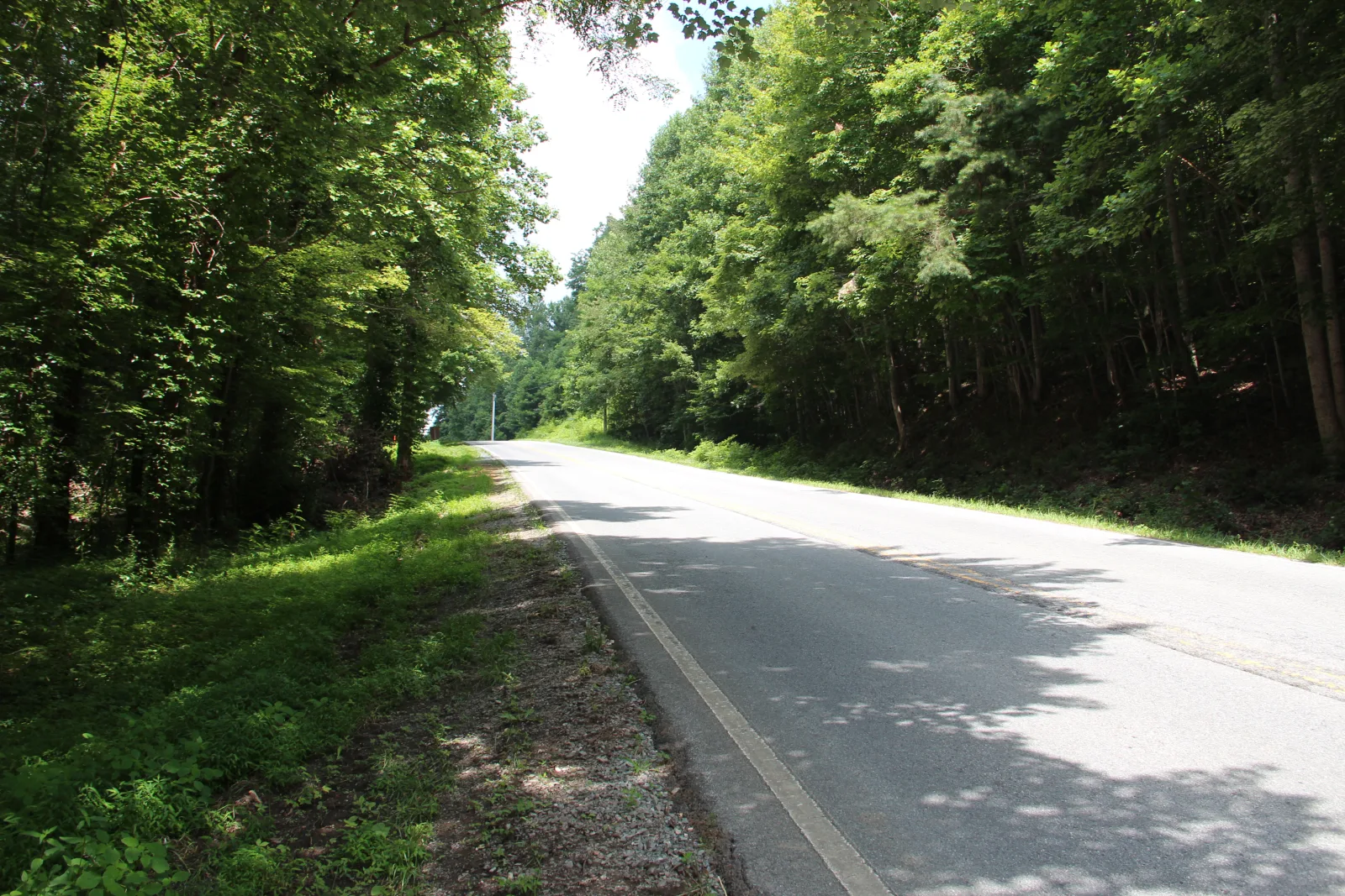 A two-lane paved stretch of Aska Road running between summer hardwoods south of Blue Ridge in Fannin County, Georgia